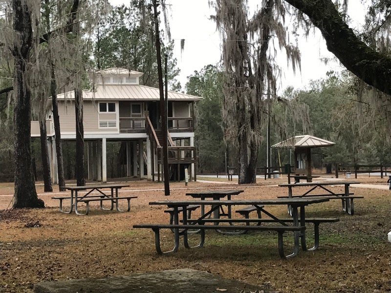 Flooding of the Suwannee Florida State Parks